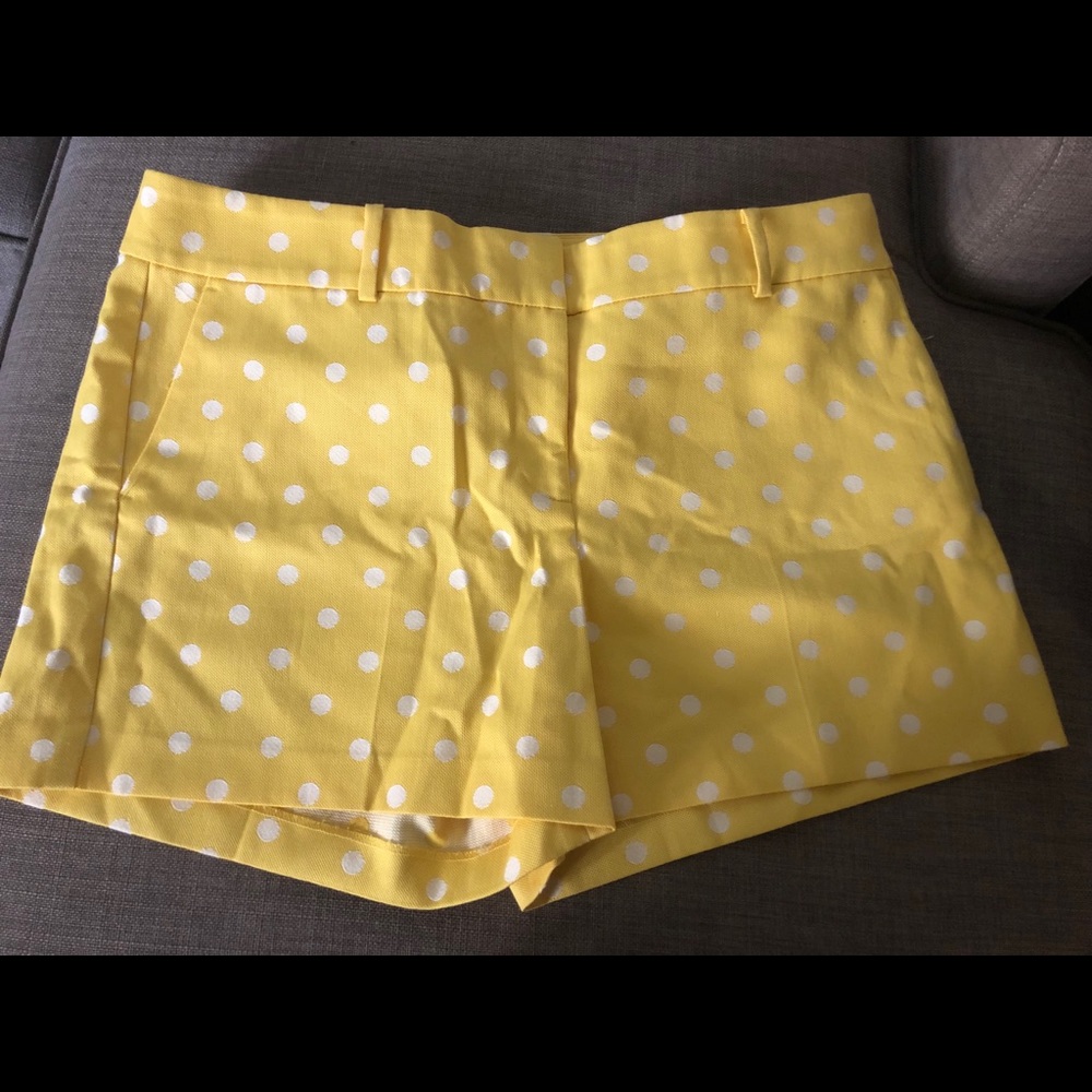 Ann Taylor Polka Dot Short - Size 12